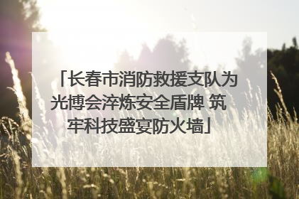 长春市消防救援支队为光博会淬炼安全盾牌 筑牢科技盛宴防火墙