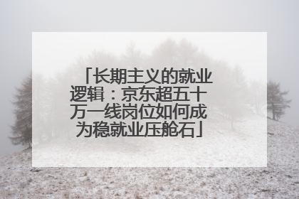 长期主义的就业逻辑：京东超五十万一线岗位如何成为稳就业压舱石