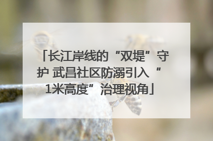 长江岸线的“双堤”守护 武昌社区防溺引入“1米高度”治理视角