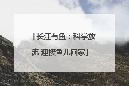 长江有鱼：科学放流 迎接鱼儿回家