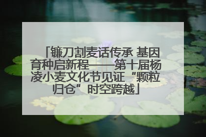镰刀割麦话传承 基因育种启新程——第十届杨凌小麦文化节见证“颗粒归仓”时空跨越