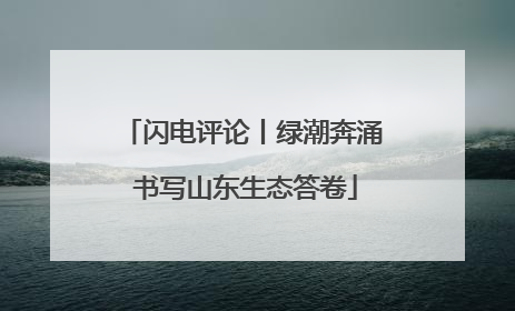 闪电评论丨绿潮奔涌 书写山东生态答卷