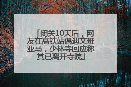闭关10天后，网友在高铁站偶遇文班亚马，少林寺回应称其已离开寺院