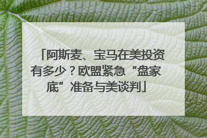 阿斯麦、宝马在美投资有多少？欧盟紧急“盘家底”准备与美谈判