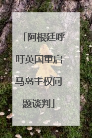 阿根廷呼吁英国重启马岛主权问题谈判