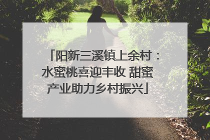 阳新三溪镇上余村：水蜜桃喜迎丰收 甜蜜产业助力乡村振兴