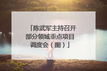 陈武军主持召开部分领域重点项目调度会（图）