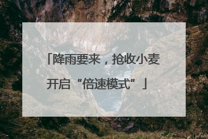 降雨要来，抢收小麦开启“倍速模式”