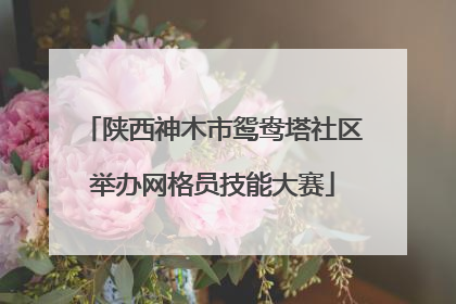 陕西神木市鸳鸯塔社区举办网格员技能大赛