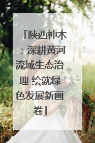陕西神木：深耕黄河流域生态治理 绘就绿色发展新画卷