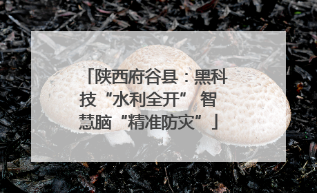 陕西府谷县：黑科技“水利全开” 智慧脑“精准防灾”