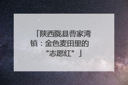 陕西陇县曹家湾镇：金色麦田里的“志愿红”