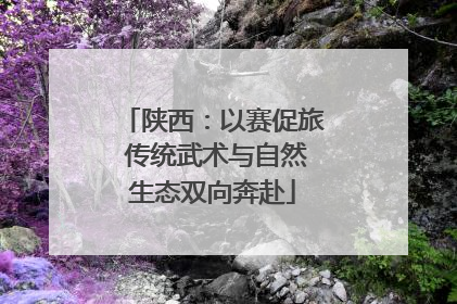 陕西：以赛促旅 传统武术与自然生态双向奔赴