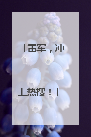 雷军，冲上热搜！