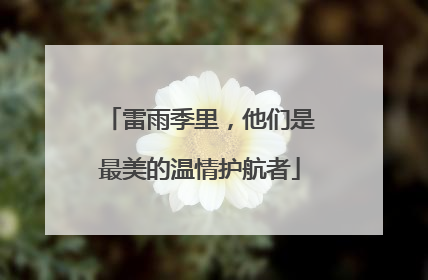 雷雨季里，他们是最美的温情护航者