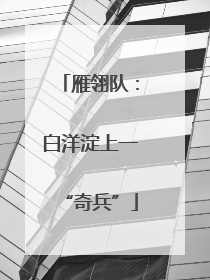 雁翎队：白洋淀上一“奇兵”