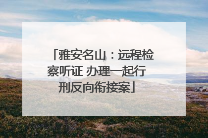 雅安名山：远程检察听证 办理一起行刑反向衔接案