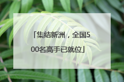 集结新洲，全国500名高手已就位