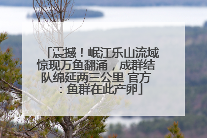 震撼！岷江乐山流域惊现万鱼翻涌，成群结队绵延两三公里 官方：鱼群在此产卵