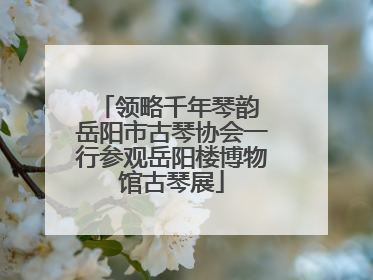 领略千年琴韵 岳阳市古琴协会一行参观岳阳楼博物馆古琴展