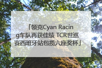 领克Cyan Racing车队再获佳绩 TCR世巡赛西班牙站包揽六座奖杯