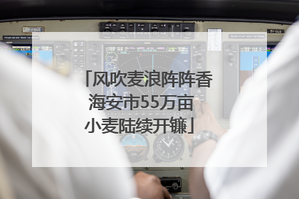 风吹麦浪阵阵香 海安市55万亩小麦陆续开镰