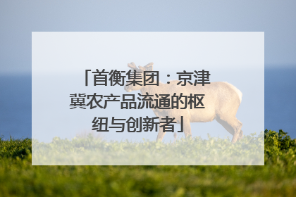 首衡集团：京津冀农产品流通的枢纽与创新者
