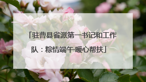 驻曹县省派第一书记和工作队：粽情端午·暖心帮扶