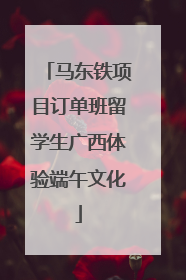 马东铁项目订单班留学生广西体验端午文化