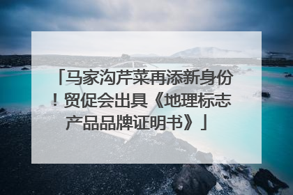 马家沟芹菜再添新身份！贸促会出具《地理标志产品品牌证明书》