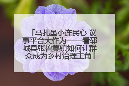马扎虽小连民心 议事平台大作为——看郓城县张鲁集镇如何让群众成为乡村治理主角