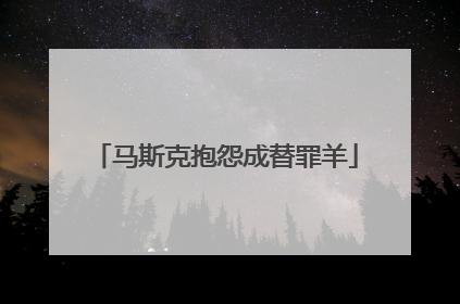 马斯克抱怨成替罪羊