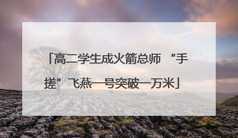 高二学生成火箭总师 “手搓”飞燕一号突破一万米