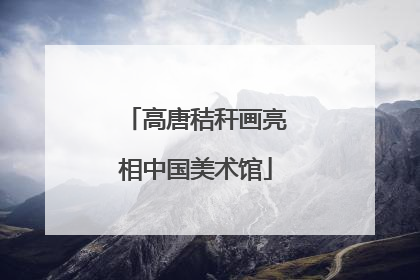 高唐秸秆画亮相中国美术馆