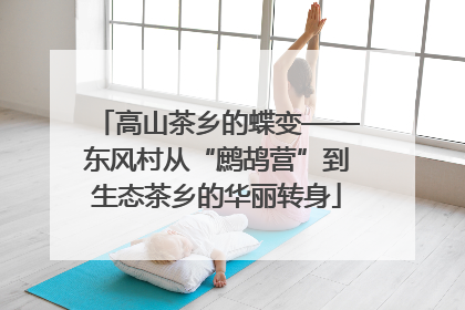高山茶乡的蝶变——东风村从“鹧鸪营”到生态茶乡的华丽转身