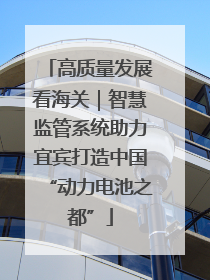 高质量发展看海关｜智慧监管系统助力宜宾打造中国“动力电池之都”