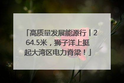 高质量发展能源行丨264.5米，狮子洋上挺起大湾区电力脊梁！