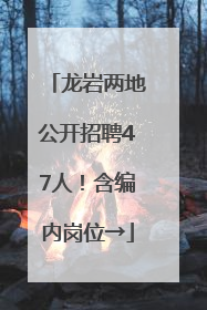龙岩两地公开招聘47人！含编内岗位→