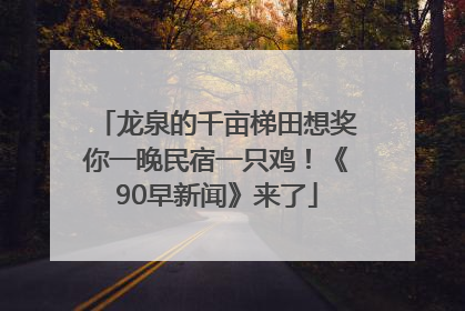 龙泉的千亩梯田想奖你一晚民宿一只鸡！《90早新闻》来了