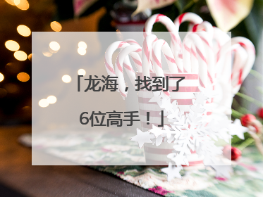 龙海，找到了6位高手！