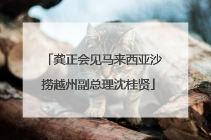 龚正会见马来西亚沙捞越州副总理沈桂贤