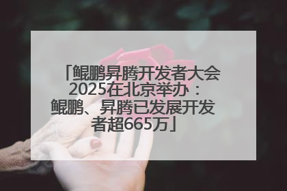 鲲鹏昇腾开发者大会2025在北京举办：鲲鹏、昇腾已发展开发者超665万