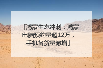 鸿蒙生态冲刺：鸿蒙电脑预约量超12万，手机备货量激增