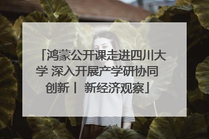 鸿蒙公开课走进四川大学 深入开展产学研协同创新丨 新经济观察