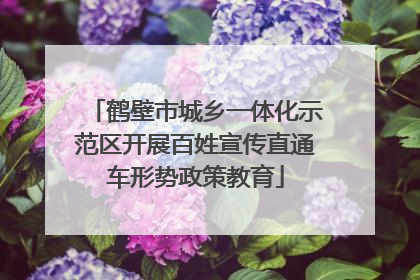 鹤壁市城乡一体化示范区开展百姓宣传直通车形势政策教育