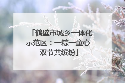 鹤壁市城乡一体化示范区：一粽一童心 双节共缤纷