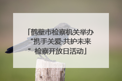 鹤壁市检察机关举办“携手关爱·共护未来”检察开放日活动