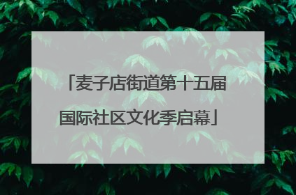 麦子店街道第十五届国际社区文化季启幕