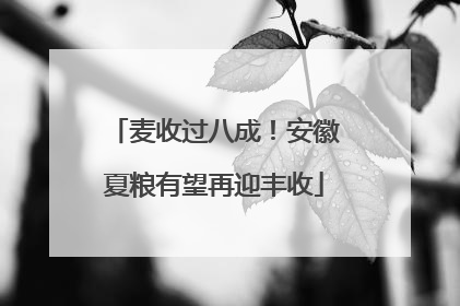 麦收过八成！安徽夏粮有望再迎丰收