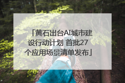 黄石出台AI城市建设行动计划 首批27个应用场景清单发布